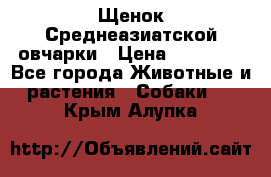 Щенок Среднеазиатской овчарки › Цена ­ 35 000 - Все города Животные и растения » Собаки   . Крым,Алупка